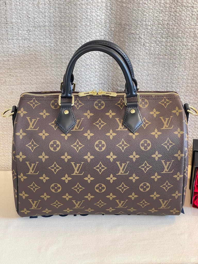 Louis vuitton speedy 30 world tour sale